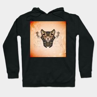 Wonderful egyptian cat Hoodie